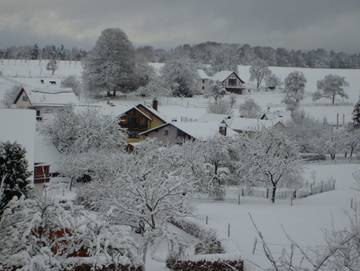 Ferienwohnung für 4 Personen, mit Garten und Terrasse, mit Haustier in Main-Odenwald