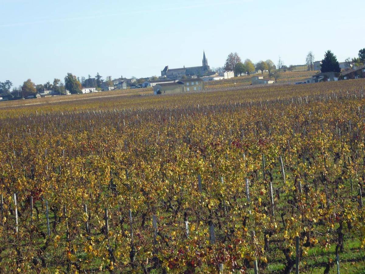 Le Clos des Rosiers in Saint-Émilion, Région de Libourne