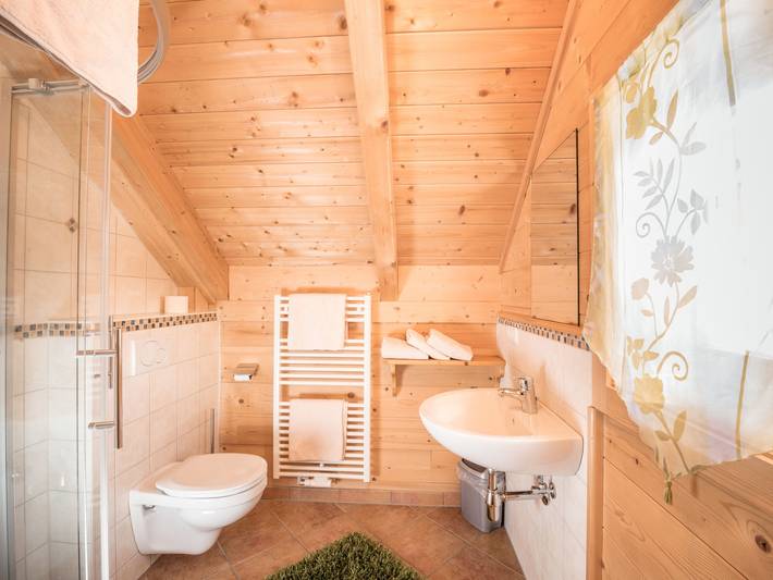 Ferienhaus für 10 Personen in Dachstein - 4