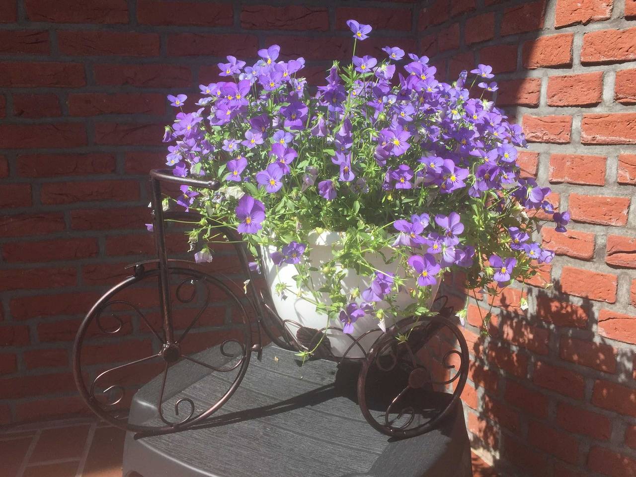 Bild 1