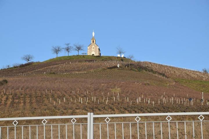 Location de vacances pour 5 personnes, avec terrasse et vue, animaux acceptés à Pommiers - 4