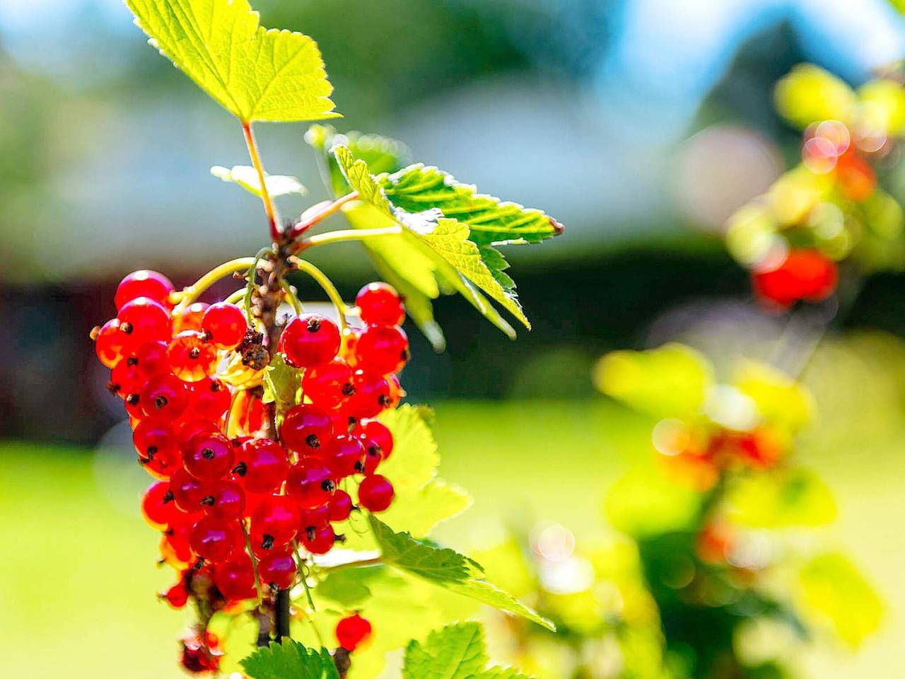 6 Personen Ferienhaus in Sandefjord in Sandefjord