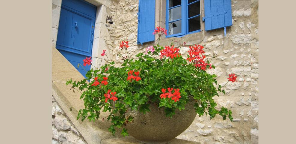 Gîte pour 6 personnes, avec Jacuzzi et Piscine à Monestiés - 4