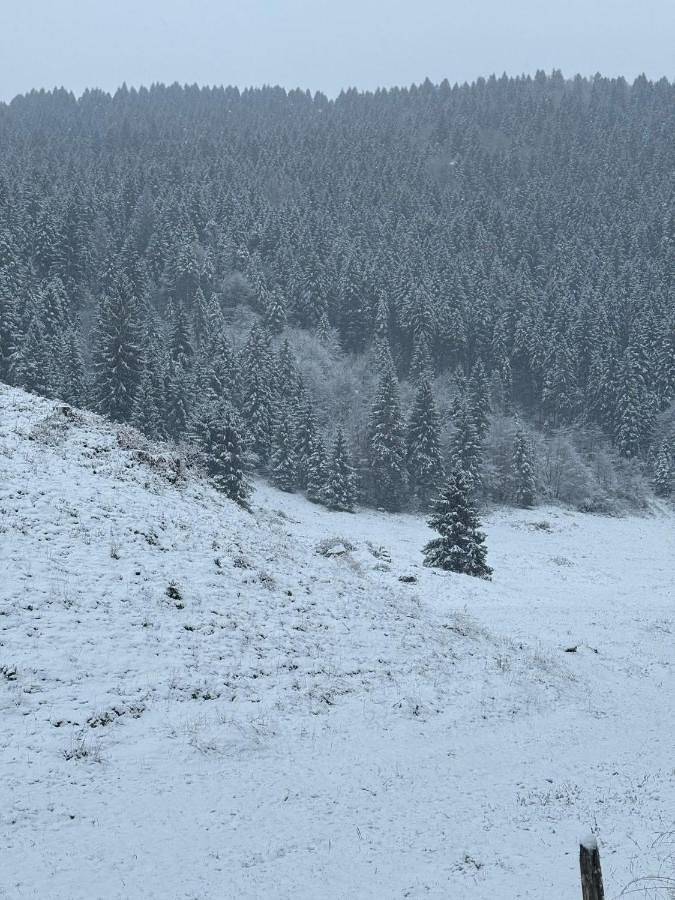 Location de vacances pour 3 personnes, avec balcon et vue à Asiago - 2