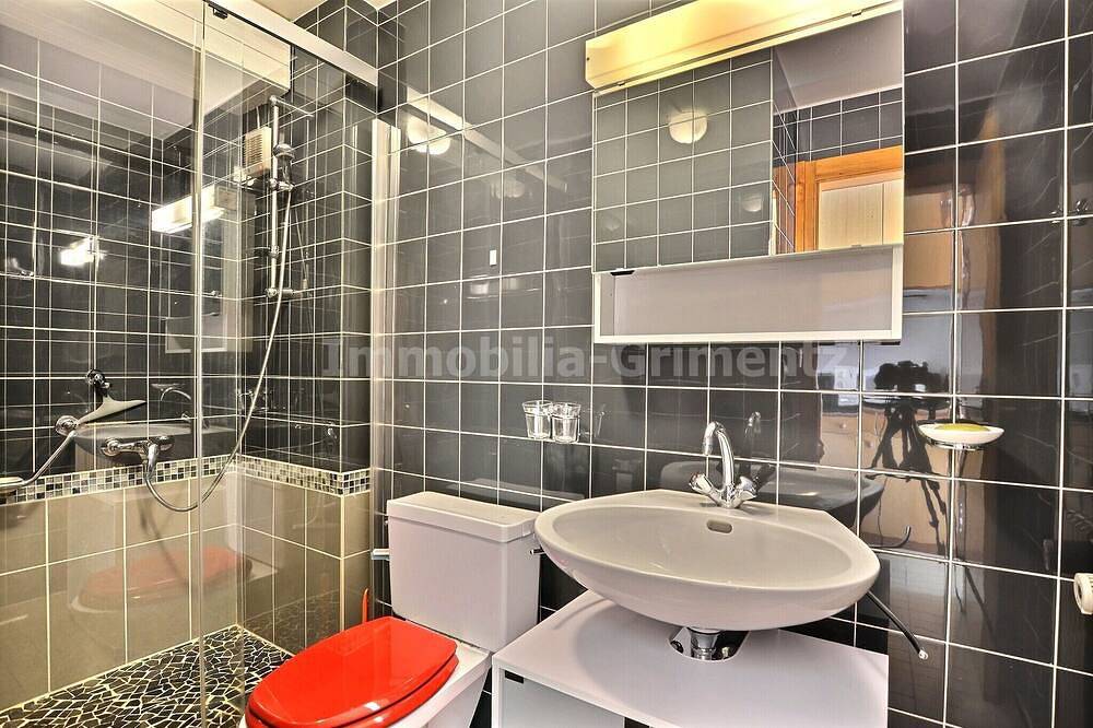 Geheel appartement, Middle class flat for 4 people, small living room with fireplace, kitchen area with dishwasher, 1 sm in Grimentz, Anniviers