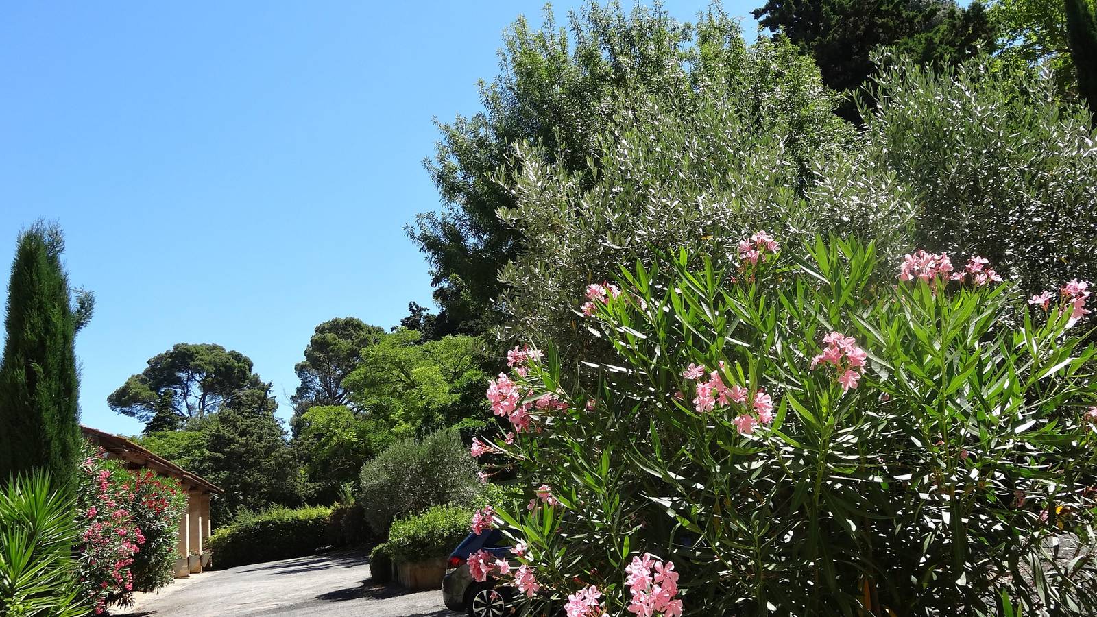 La Noria in Narbonne, Région de Narbonne
