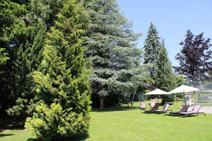 Hotel für 2 Personen, mit Garten und Pool sowie Whirlpool und Sauna, kinderfreundlich in Spiegelau - 2