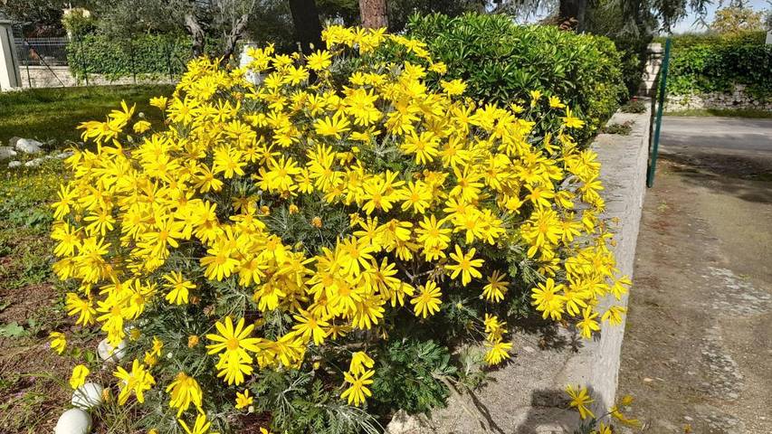 Location de vacances pour 4 personnes, avec vue ainsi que piscine et jardin à Andria - 3