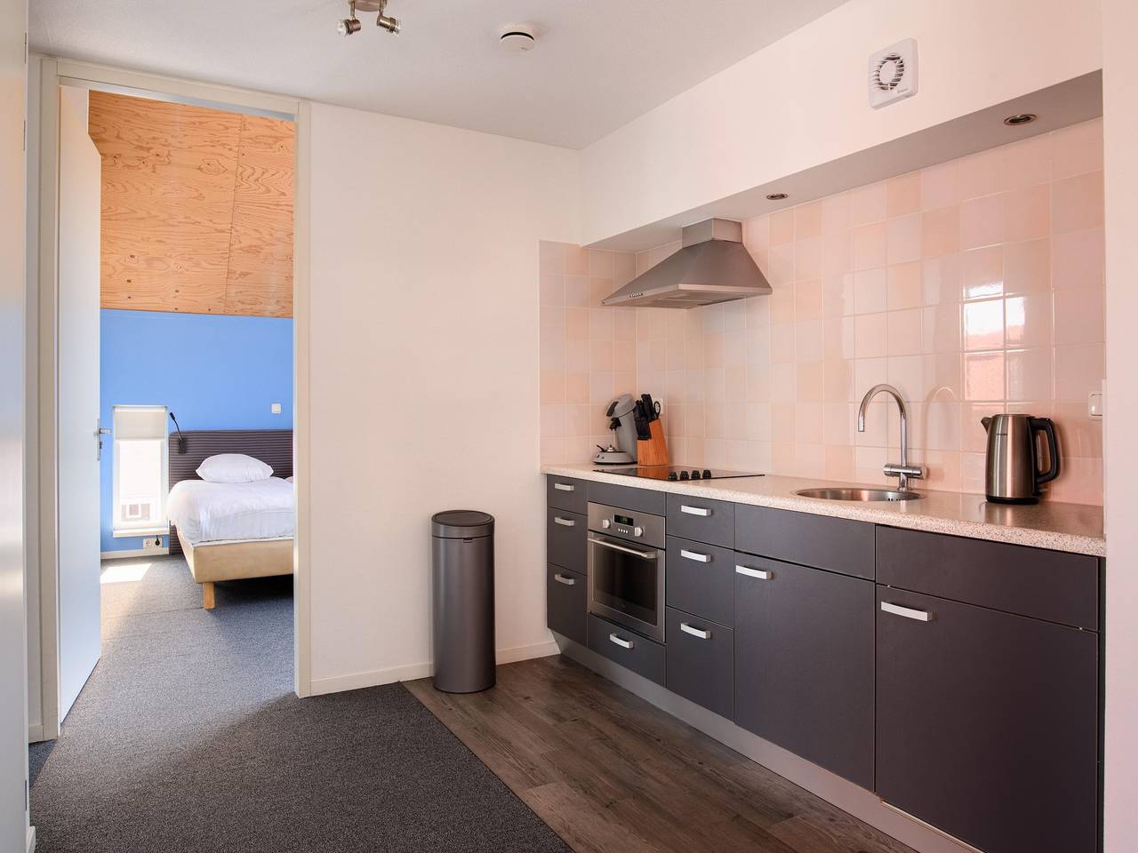 Ganze Wohnung, Gemütliches Ferienhaus im Zentrum von Terherne in Friesland