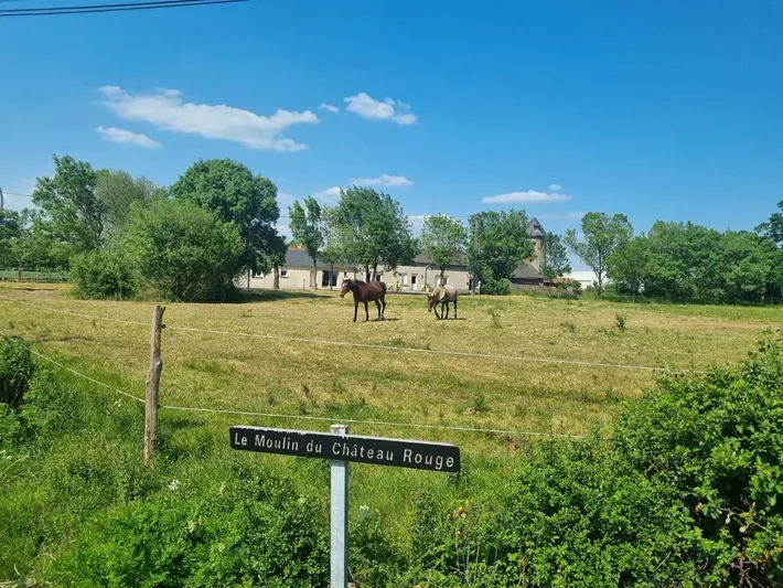 Holiday home for 11 people - 1