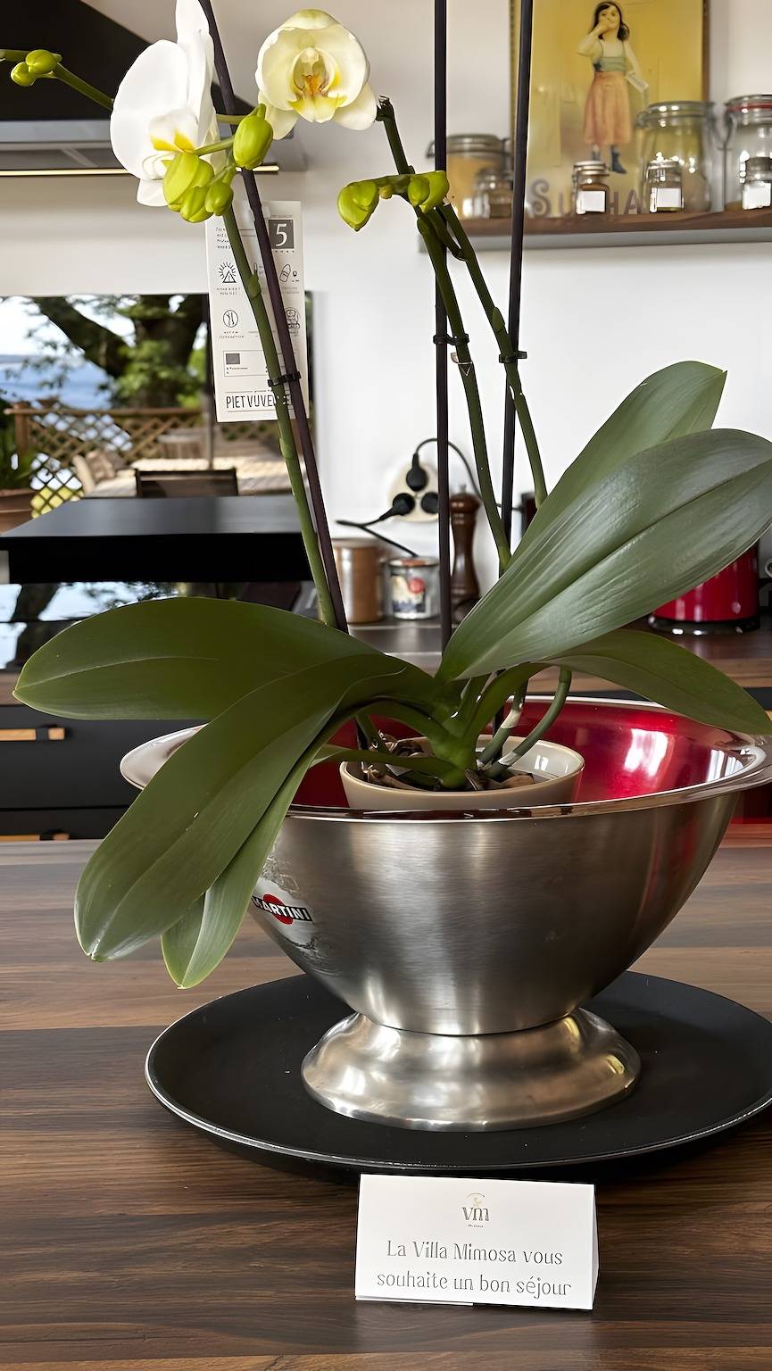 Villa « Mimosa – Vue exceptionnelle » : lac, terrasse privée et Wi-Fi in Lac de Lacanau, Lacanau