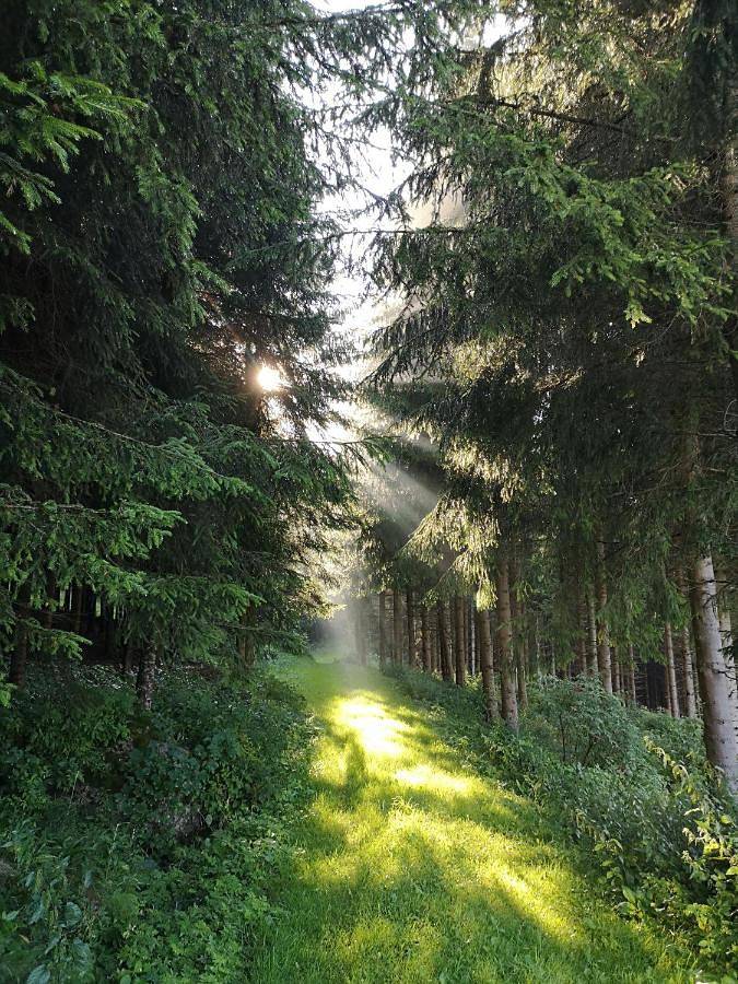 Ferienhaus für 4 Personen, mit Garten und Ausblick, mit Haustier in Waldviertel - 4