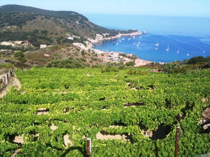 Ferienwohnung für 8 Personen, mit Ausblick und Garten, mit Haustier auf Isola del Giglio - 4