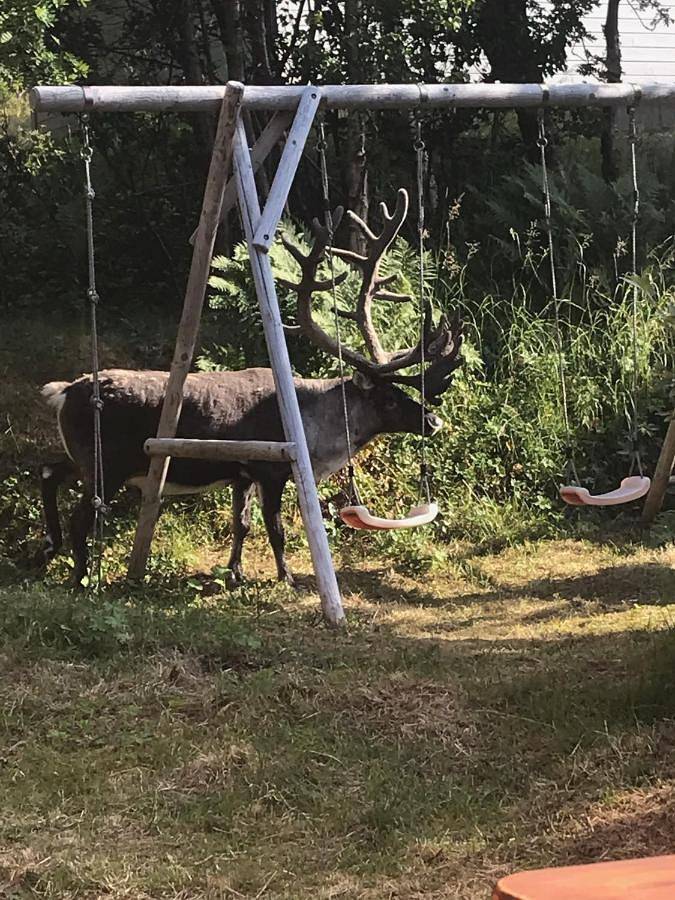 Maison d’hôte pour 4 personnes, avec jardin dans Tromsø - 4