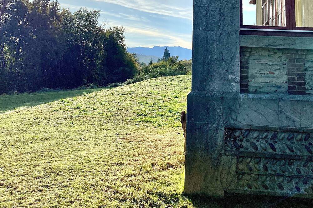Château de La Tisnère aux portes de Pau in Gelos, Béarn