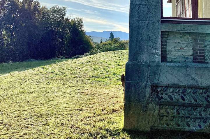 Château pour 15 personnes, avec jardin en Pyrénées-Atlantiques - 4