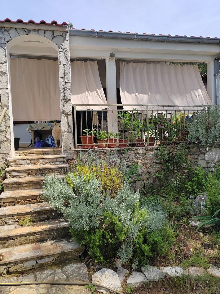 1-Zimmer-Haus am Strand Maslinica, Solta K-23755 in Maslinica, Solta