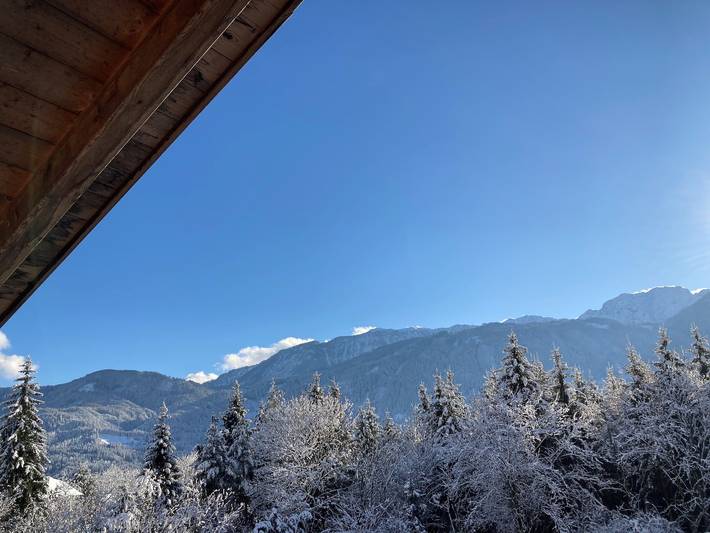 Ganze Wohnung, Ferienwohnung 'Fewo Waldheim' mit Bergblick, Balkon und Wlan in Kreuzeckgruppe, Greifenburg