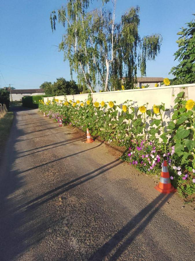 Four-Bedroom House in Saint-Georges-de-Reneins, Beaujolais