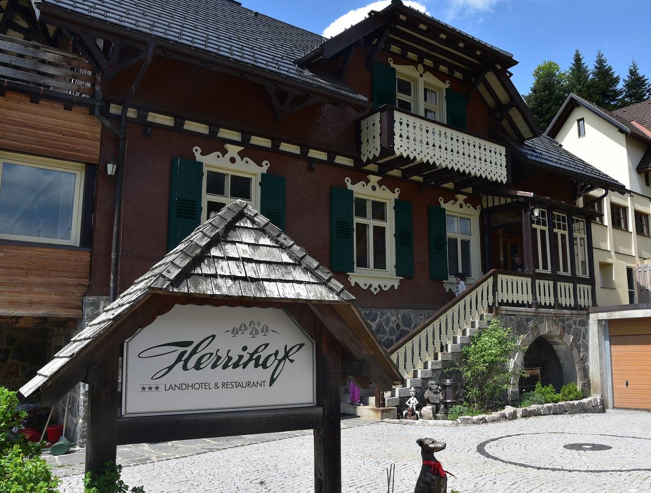 Hotel & Chalets Herrihof - Junior Suite in Todtnauberg (Todtnau), Todtnau