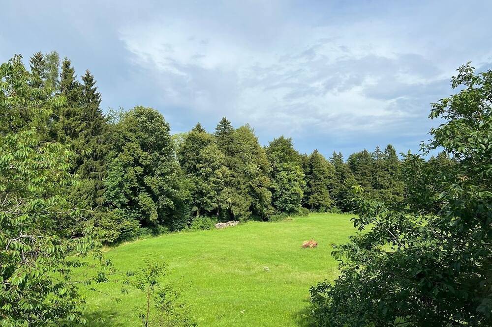 Ganze Wohnung, Ferienwohnung/App. für 3 Gäste mit 70m² in Irschenberg in Irschenberg, Alpenland Tegernsee Schliersee