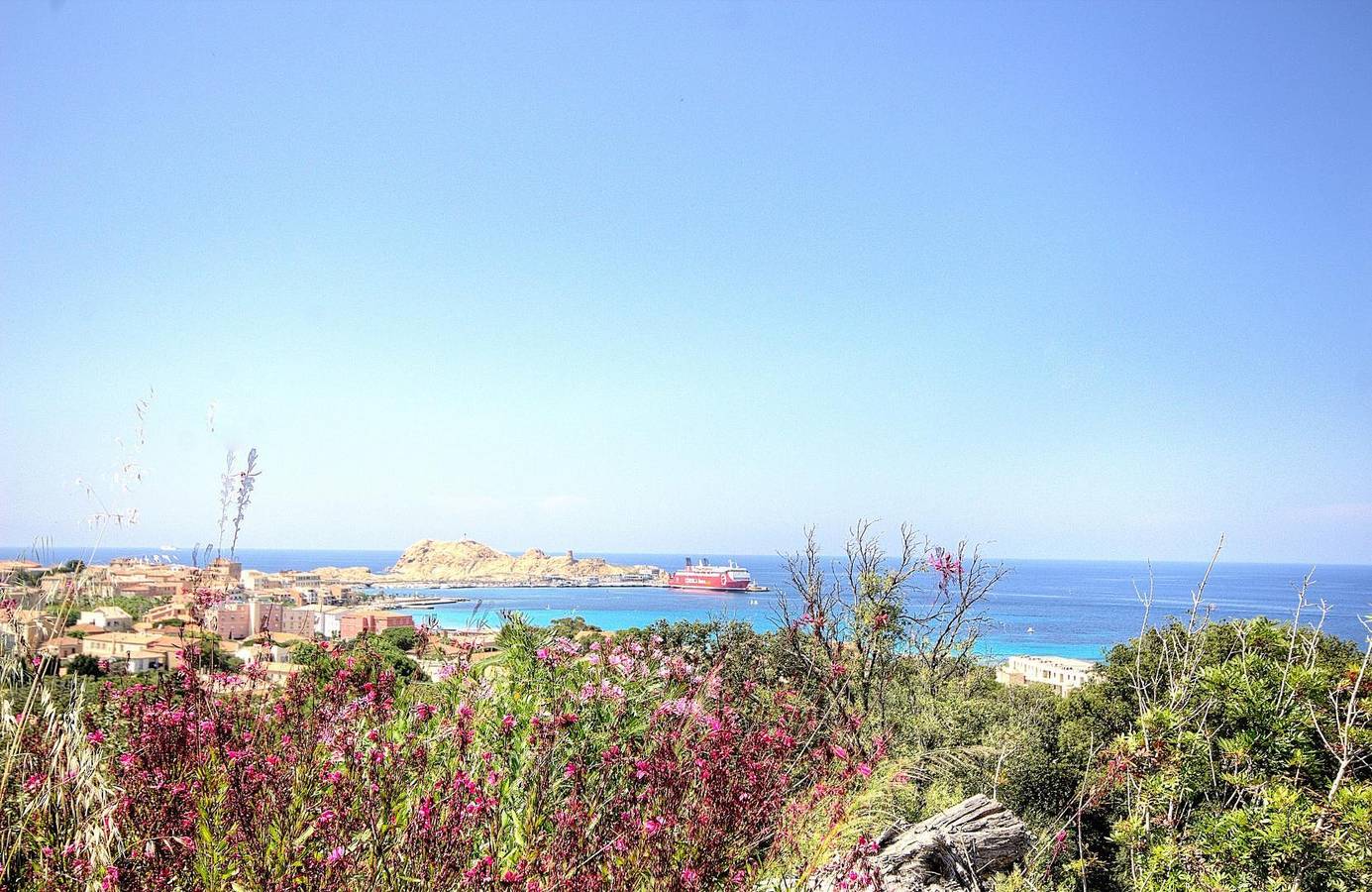 Georgia in Monticello, Région de Calvi