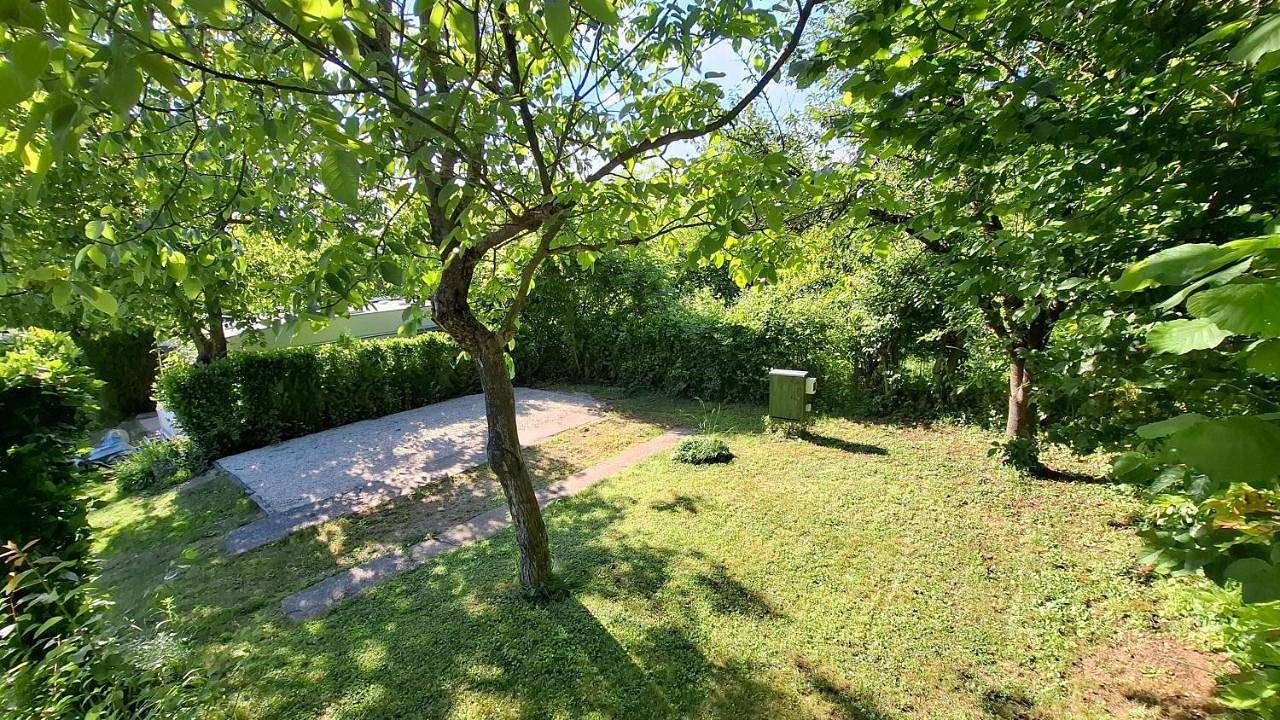 Campingrosengarten in Cserszegtomaj, Keszthely region