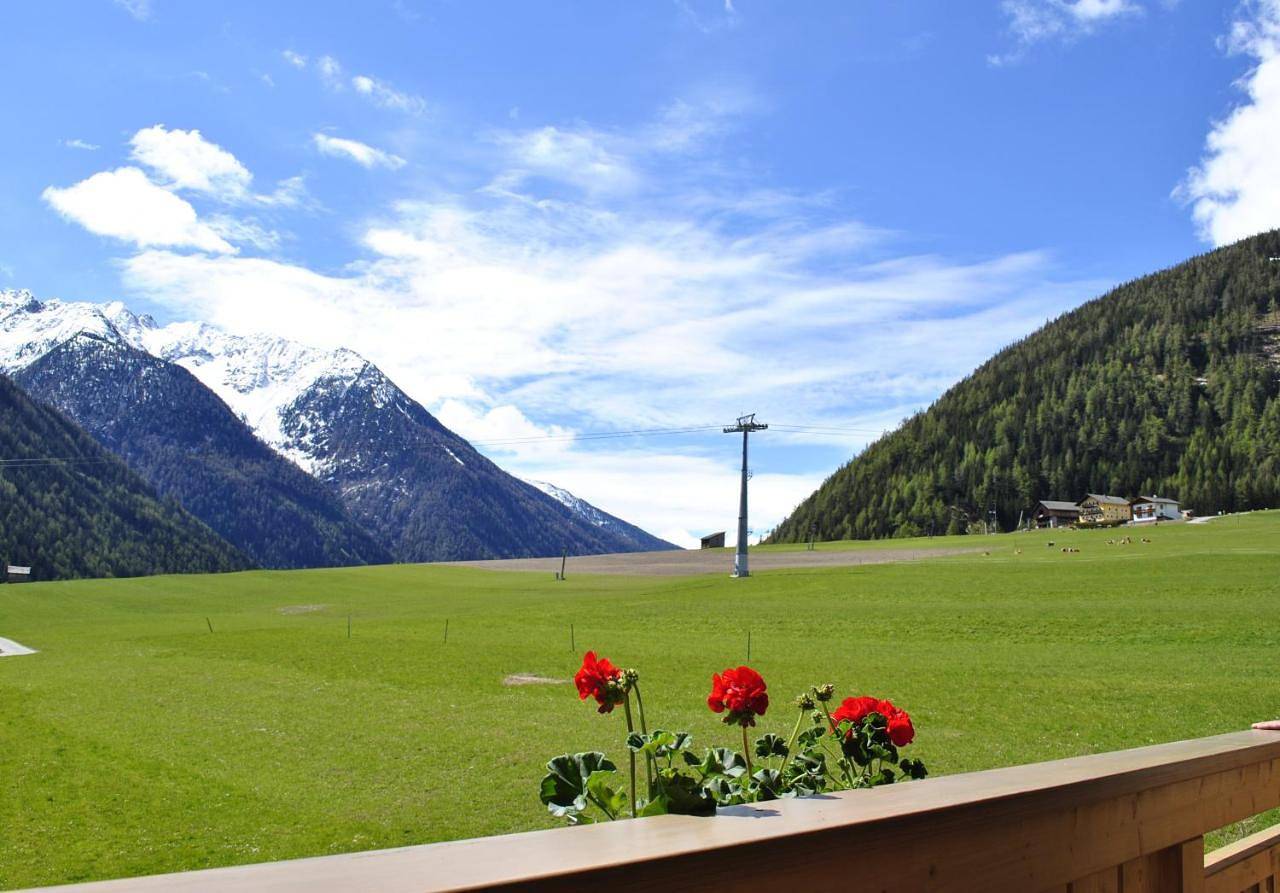 Ganze Wohnung, Großglockner Goldried Chalet in Kals am Großglockner, Bezirk Lienz