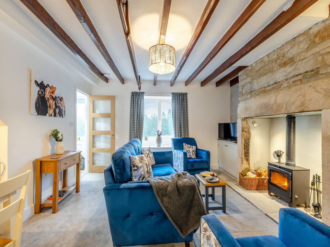 South View in Kielder Forest Park