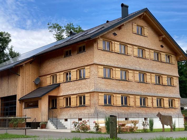 Ganze Ferienwohnung, Bregenzerwälder Appartements Familie Fink - Appartement 2 in Bregenzerwald (Vorarlberg), Andelsbuch