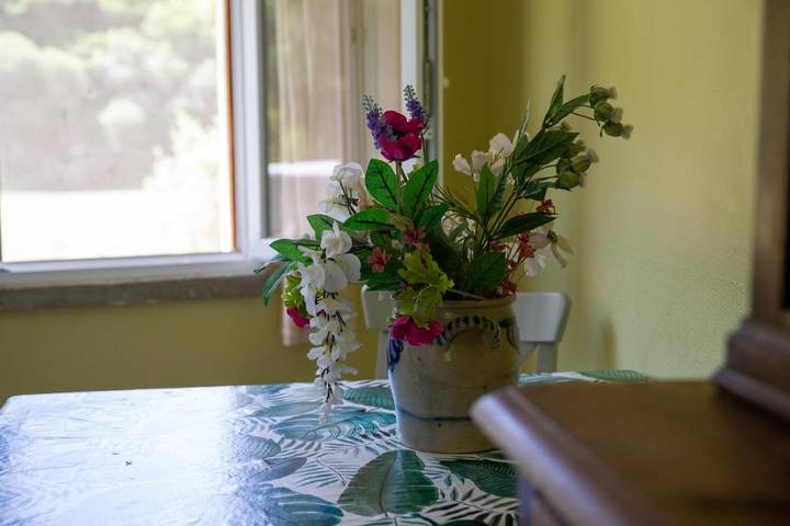 Location de vacances pour 3 personnes, avec vue ainsi que jardin et vue sur le lac, animaux acceptés à Lachapelle-Auzac - 4