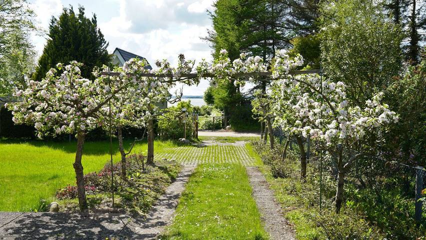 Ferienhaus für 4 Personen, mit Terrasse und Garten in Brodersby an der Schlei - 2