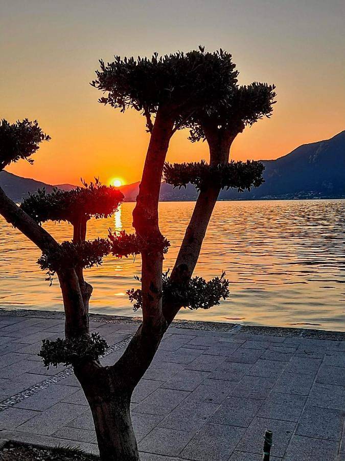 Ferienwohnung für 4 Personen, mit Ausblick und Seeblick, mit Haustier in Gemeinde Iseo