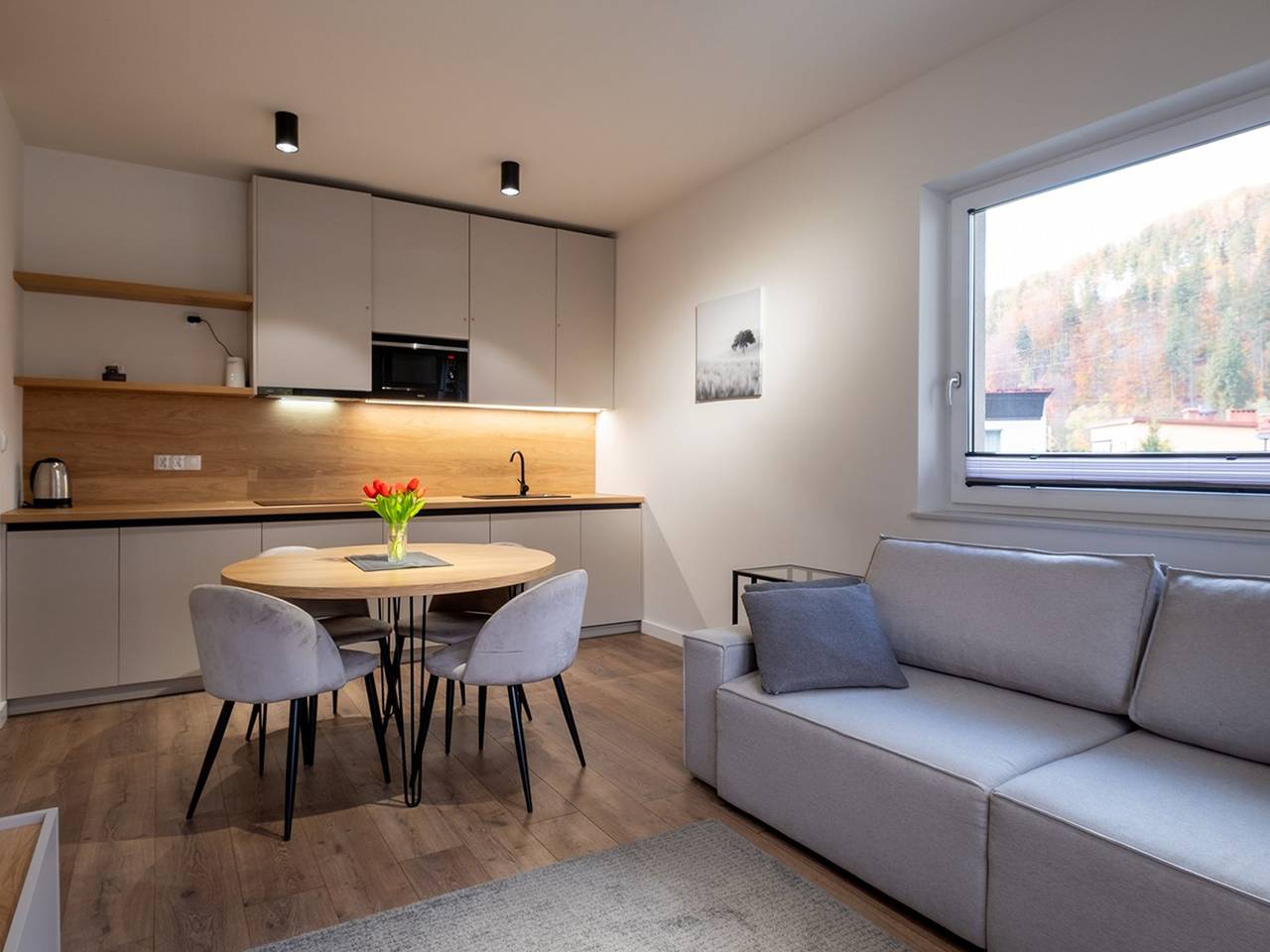 Cały apartament, River Park in Wisła, Karpaty (Polska)