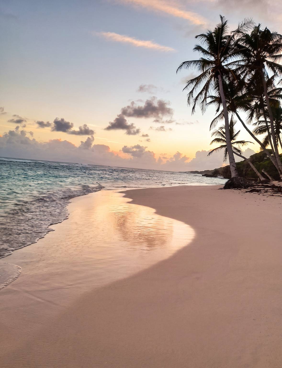Entire studio, Cozy Studio in Capesterre-de-Marie-Galante - 20 m² in Capesterre-de-Marie-Galante, Guadeloupe (Caribbean)