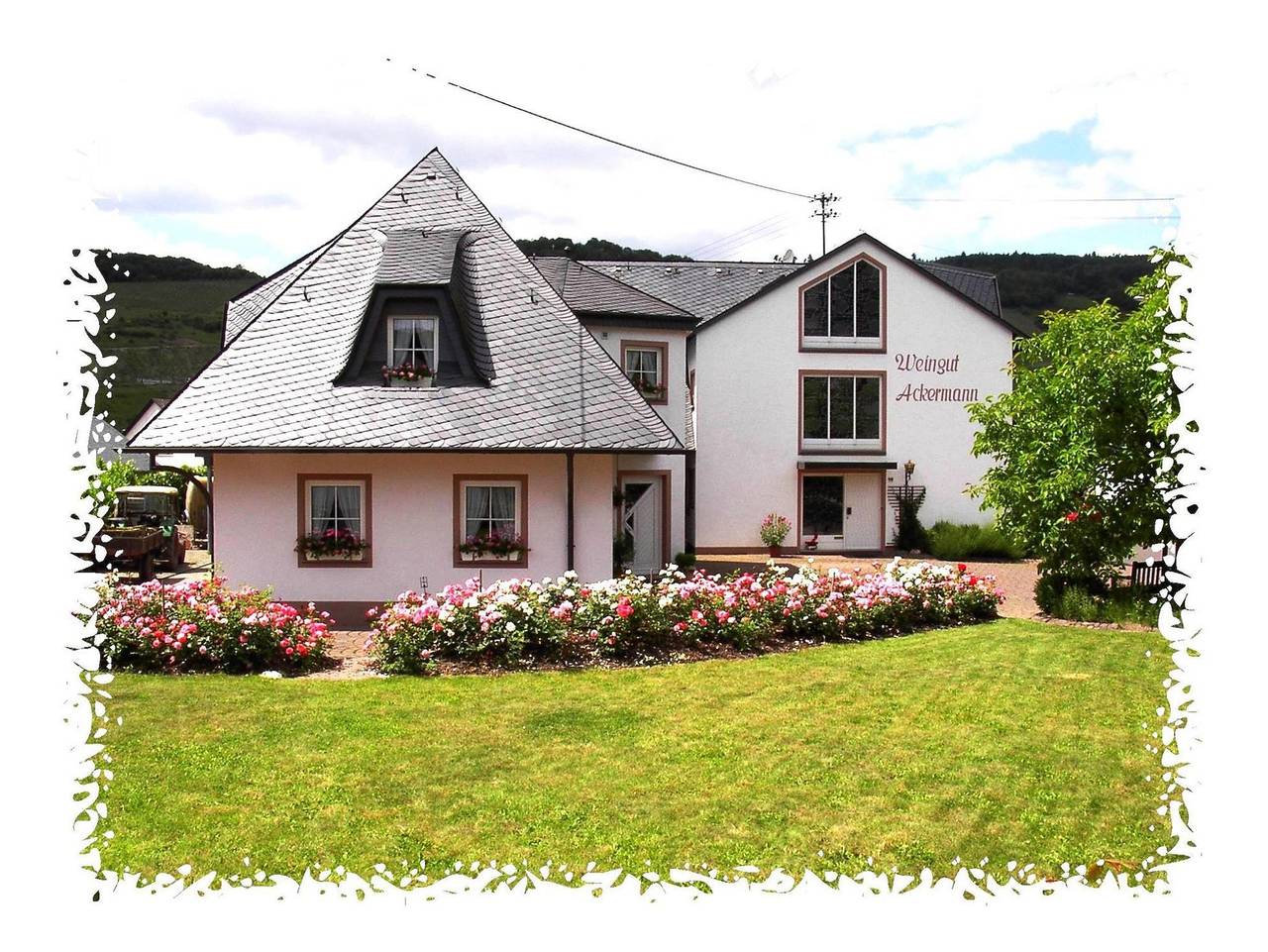 Ganze Ferienwohnung, Weingut Ackermann - Ferienwohnung 2 in Zeltingen-Rachtig, Bernkastel-Kues & Umgebung