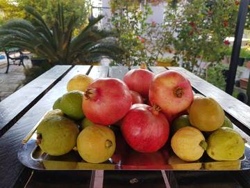 Villa for 8 People in Northern Cyprus, Cyprus, Photo 4