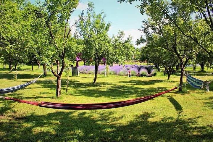 Location de vacances pour 7 personnes, avec jardin et jacuzzi dans Câmpina