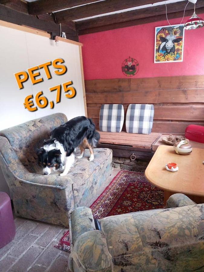 Camping für 2 Personen, mit Garten in Rheinland-Pfalz - 3