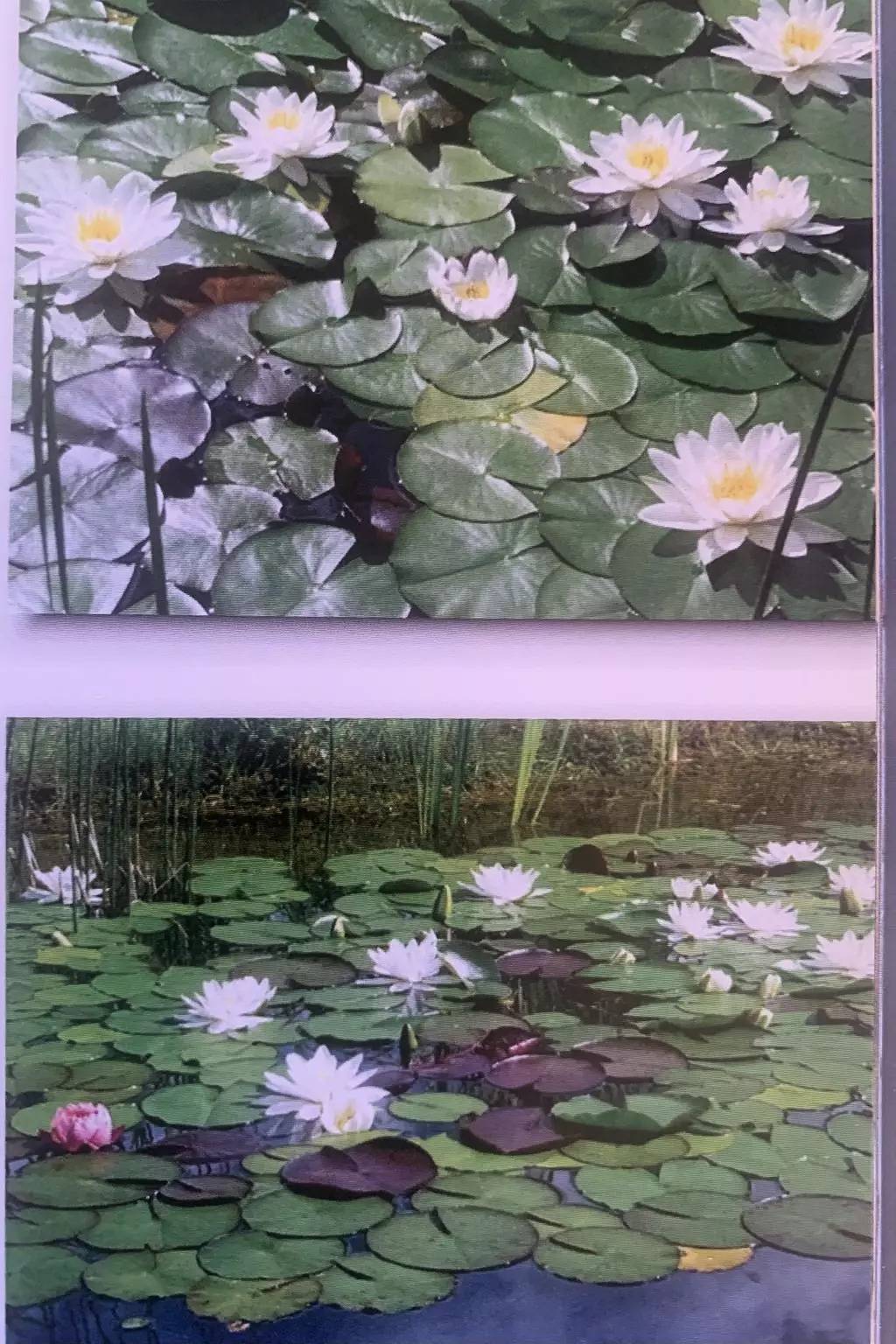 Geheel appartement, 1 bewijsstuk 3 personen in Frutigen, Frutigen - Lenk - Adelboden