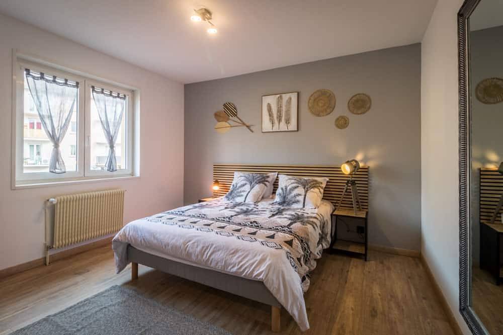 Entire apartment, The Saver'Zaru apartment, downtown! in Saverne, Saverne region