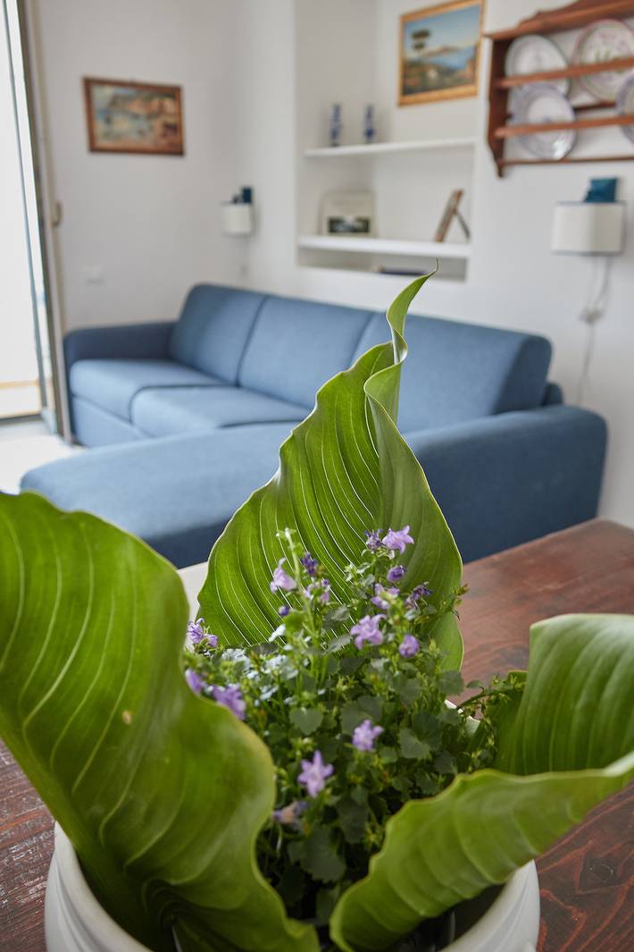 Gîte pour 4 personnes, avec balcon à Capri - 3