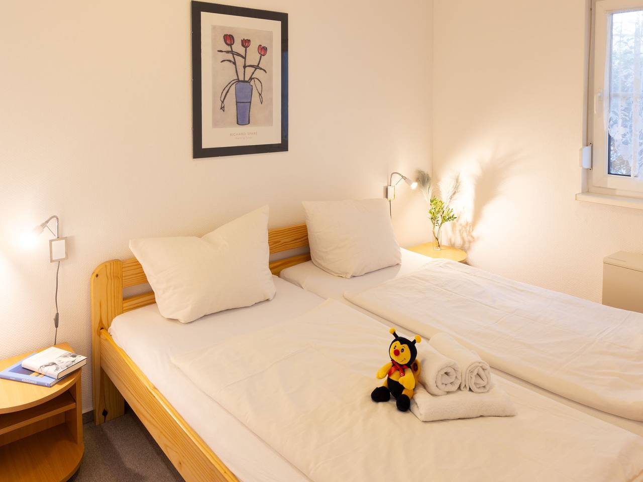 Entire apartment, Kluge in Zinnowitz, Usedomer Norden