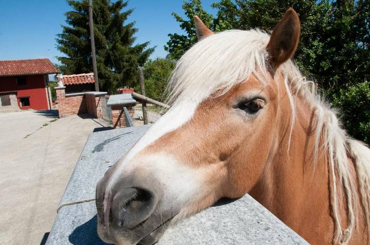 Ferienwohnung für 7 Personen, mit Balkon und Garten sowie Ausblick in Dogliani