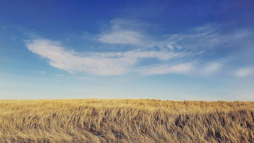 Ferienhaus mit Meerblick für 9 Personen, mit Whirlpool und Sauna sowie Terrasse, mit Haustier in Nordwestjütland - 3