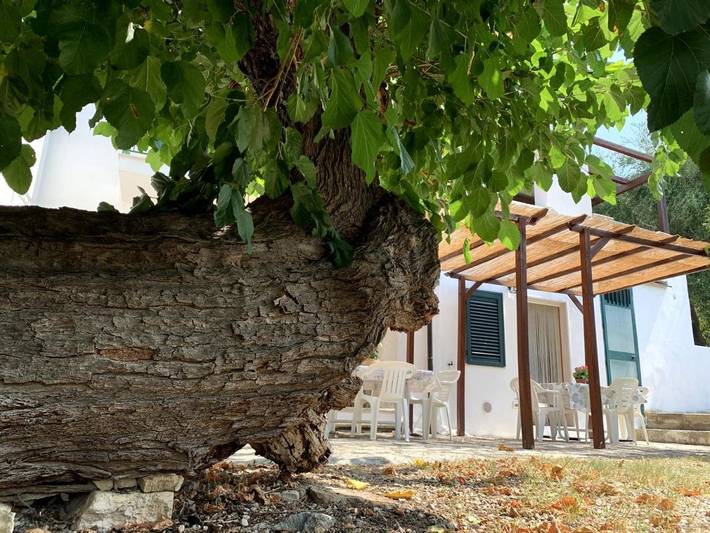 Gîte pour 4 personnes, avec vue et jardin à Vico del Gargano - 4