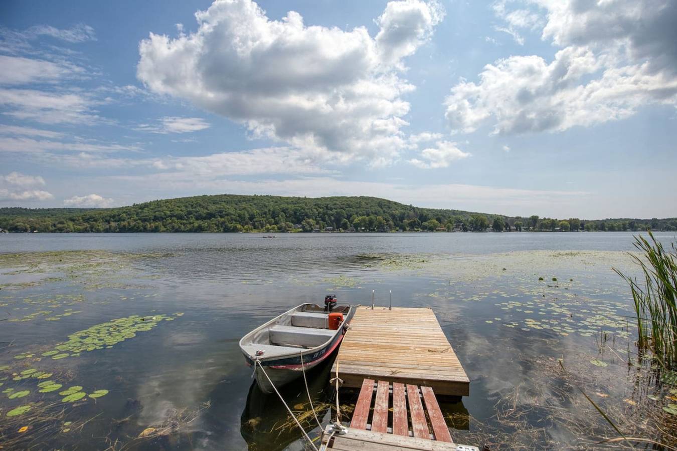 Entire apartment, Waterfront Cottage w/ Swim Spa, Bbq, Close to Skiing in Lake Ontario (Canada)