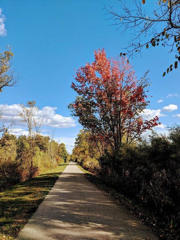 Bed and breakfasts for 7 people in Michigan
