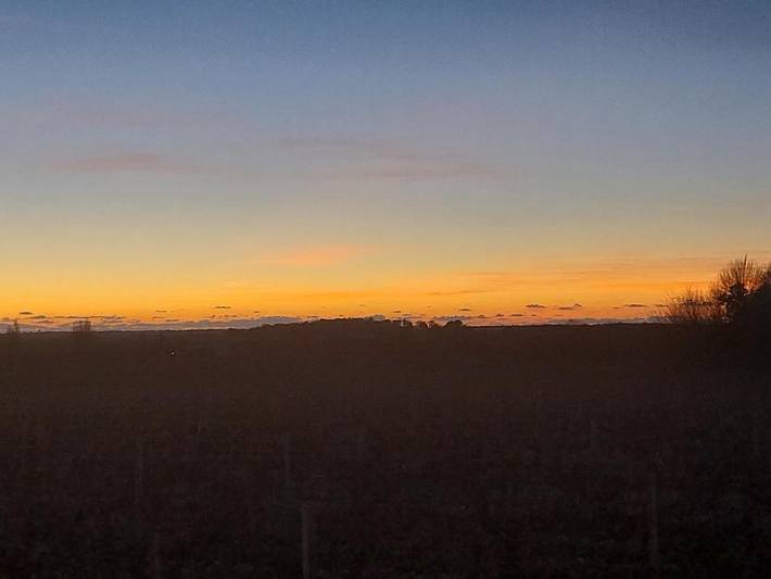 Gîte pour 4 personnes, animaux acceptés à Saint-Seurin-de-Cadourne - 2