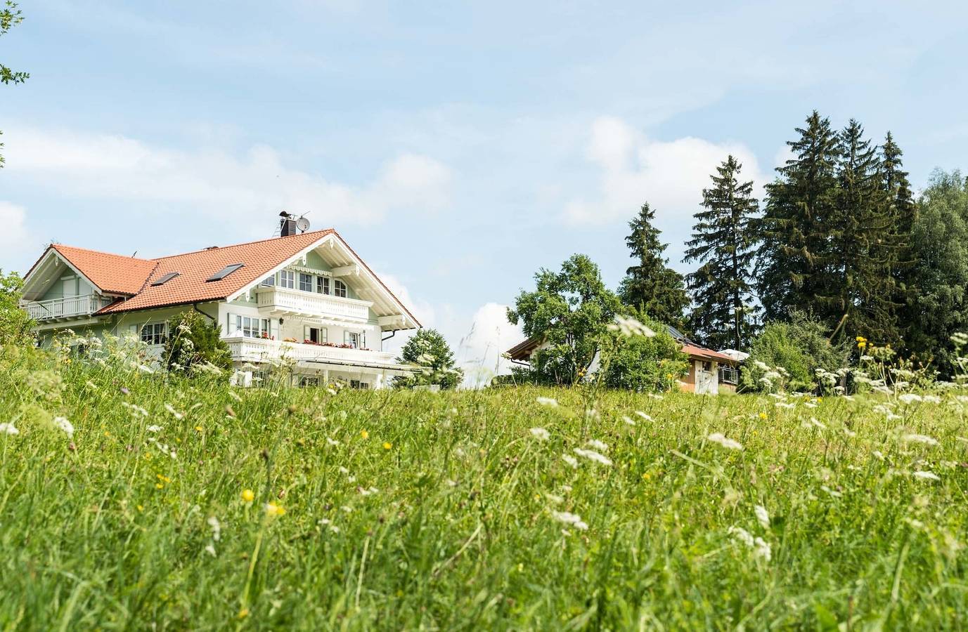 Ganze Ferienwohnung, 5 Sterne Ferienwohnung am See, Wohnung 2 in Badeplatz Lugenauer See, Böbing